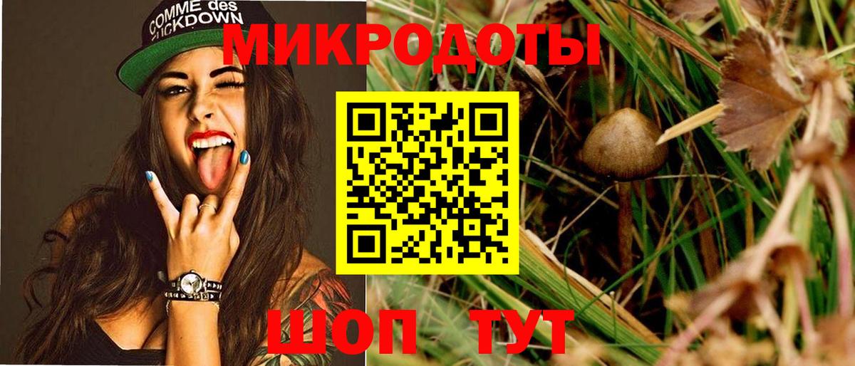 Псилоцибиновые грибы прущие грибы  Дзержинский  Галлюциногенные грибы MAGIC MUSHROOMS 