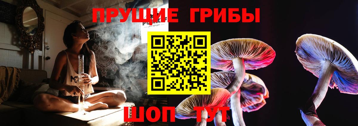 Дзержинский  Псилоцибиновые грибы GOLDEN TEACHER  Вход с VPN  Галлюциногенные грибы прущие грибы 
